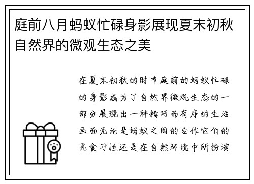 庭前八月蚂蚁忙碌身影展现夏末初秋自然界的微观生态之美